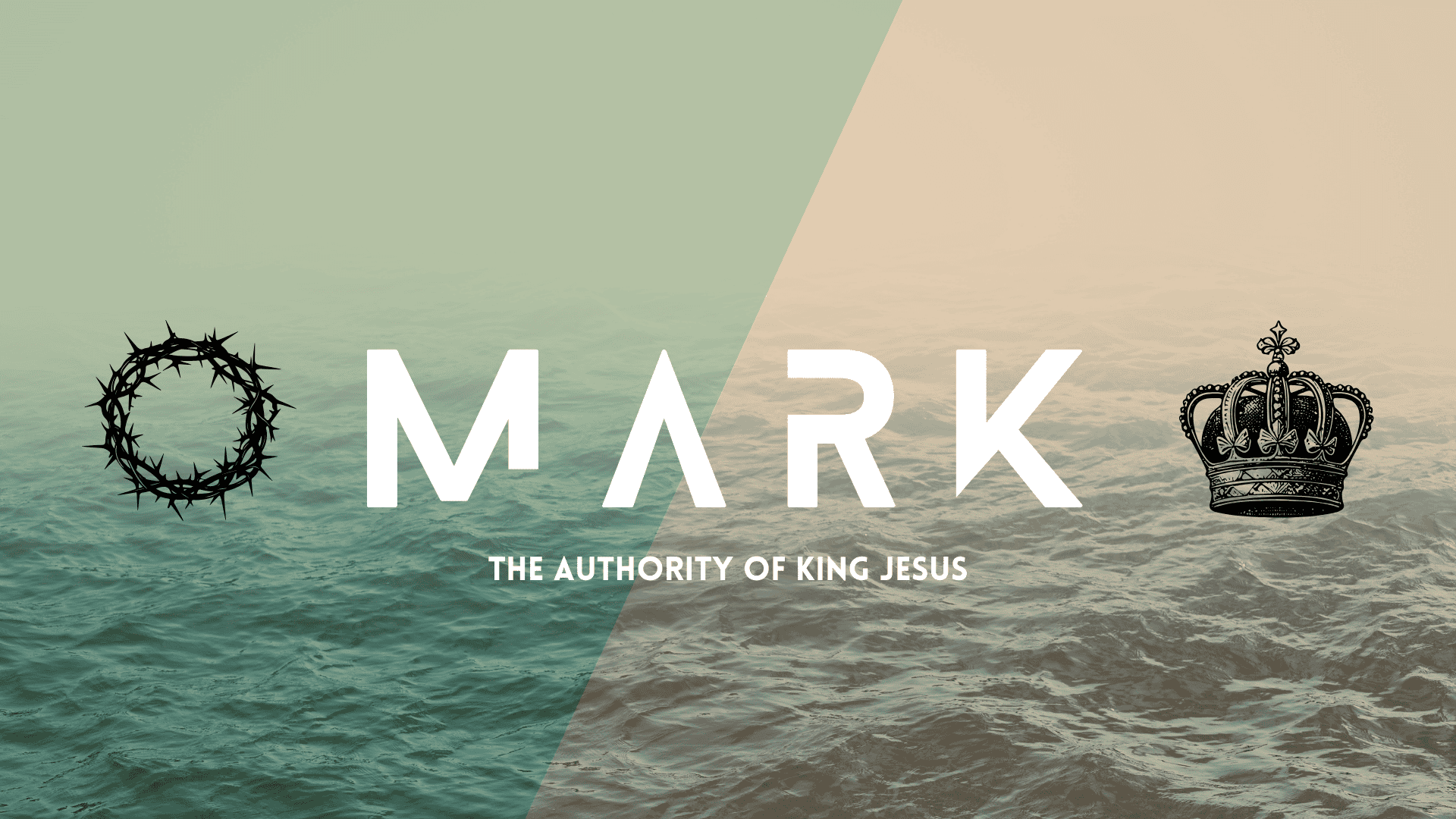 What Defines A Fruit Tree Is the Fruit Pillar Of Jacksonville what-defines-a-fruit-tree-is-the-fruit-pillar-of-jacksonville